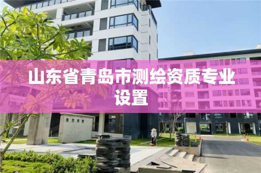 山东省青岛市测绘资质专业设置