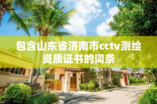 包含山东省济南市cctv测绘资质证书的词条