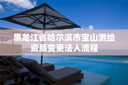 黑龙江省哈尔滨市宝山测绘资质变更法人流程