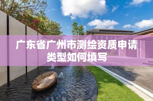 广东省广州市测绘资质申请类型如何填写