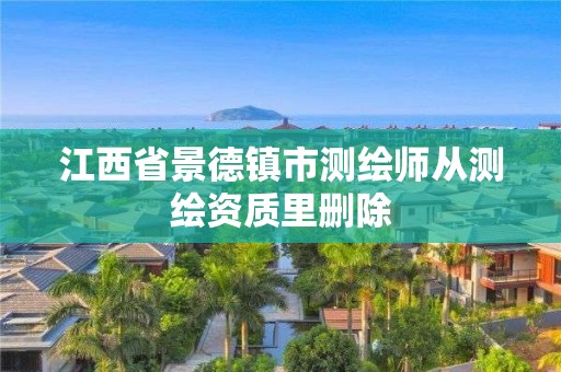 江西省景德镇市测绘师从测绘资质里删除