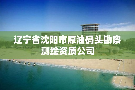 辽宁省沈阳市原油码头勘察测绘资质公司