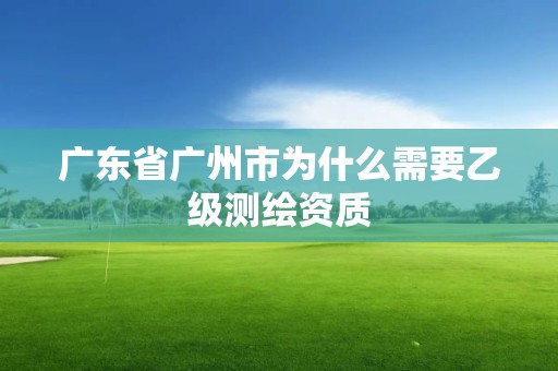 广东省广州市为什么需要乙级测绘资质