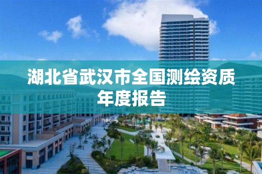 湖北省武汉市全国测绘资质年度报告