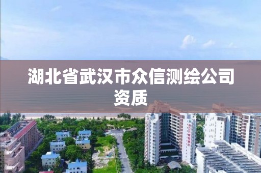 湖北省武汉市众信测绘公司资质