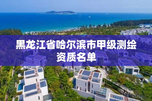 黑龙江省哈尔滨市甲级测绘资质名单