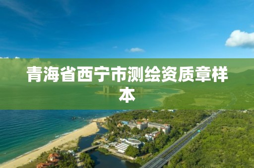 青海省西宁市测绘资质章样本