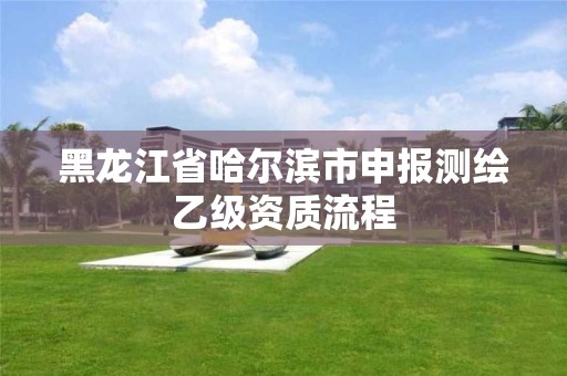 黑龙江省哈尔滨市申报测绘乙级资质流程