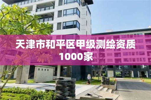 天津市和平区甲级测绘资质1000家