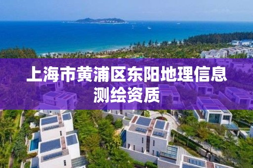 上海市黄浦区东阳地理信息测绘资质