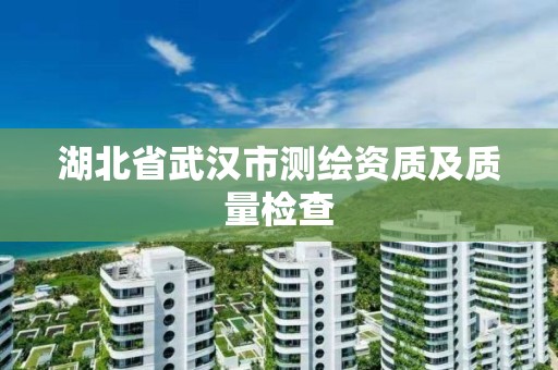 湖北省武汉市测绘资质及质量检查