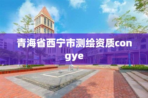 青海省西宁市测绘资质congye