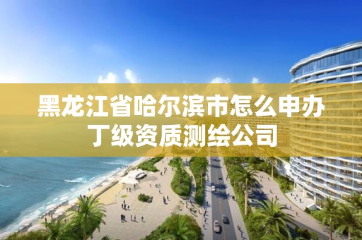 黑龙江省哈尔滨市怎么申办丁级资质测绘公司