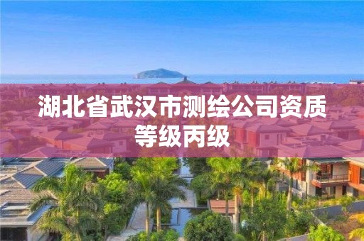 湖北省武汉市测绘公司资质等级丙级