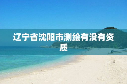 辽宁省沈阳市测绘有没有资质