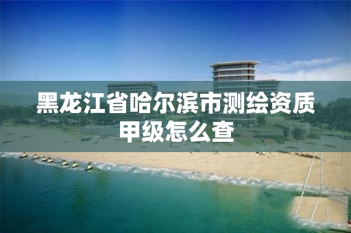 黑龙江省哈尔滨市测绘资质甲级怎么查