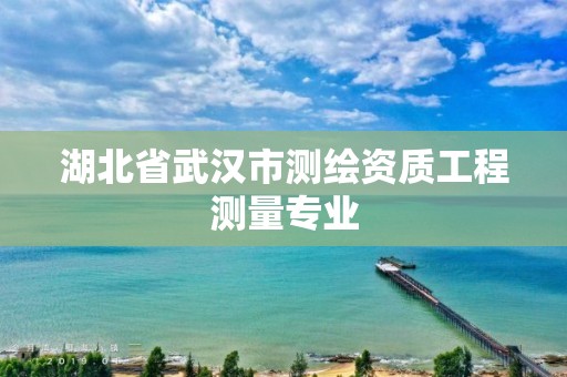 湖北省武汉市测绘资质工程测量专业