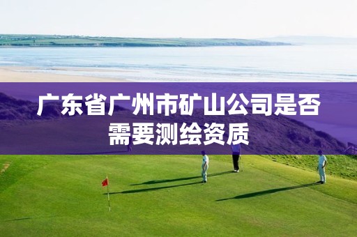 广东省广州市矿山公司是否需要测绘资质