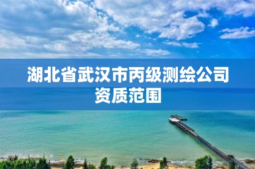 湖北省武汉市丙级测绘公司资质范围