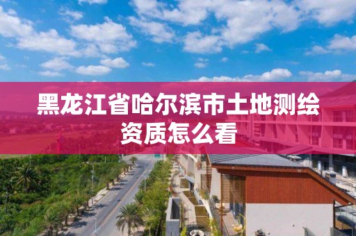 黑龙江省哈尔滨市土地测绘资质怎么看