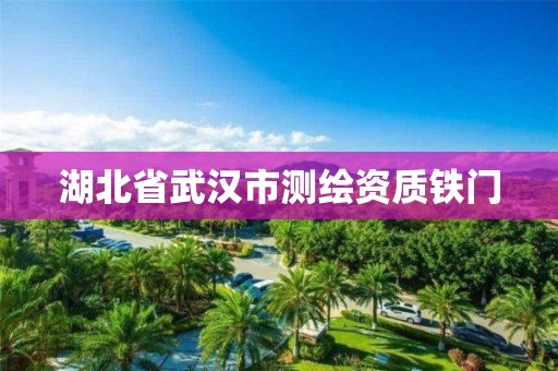 湖北省武汉市测绘资质铁门