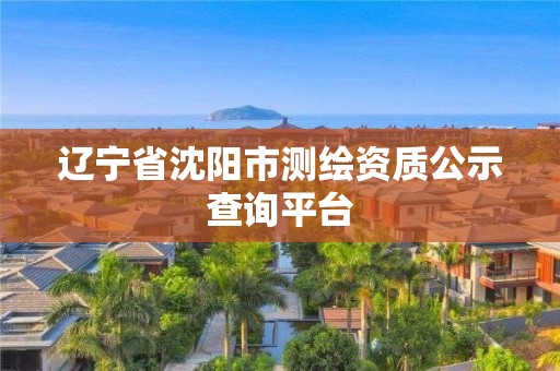 辽宁省沈阳市测绘资质公示查询平台