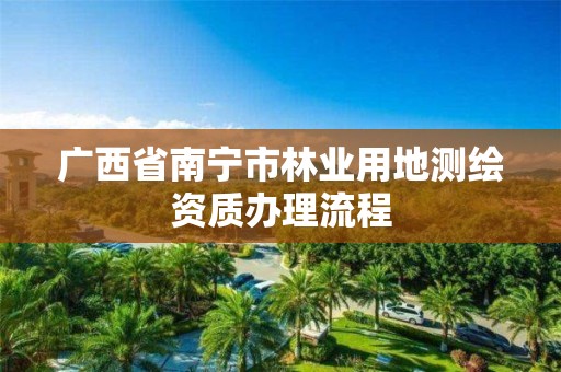 广西省南宁市林业用地测绘资质办理流程