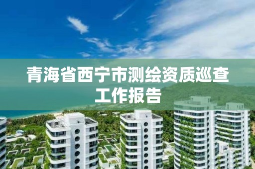 青海省西宁市测绘资质巡查工作报告