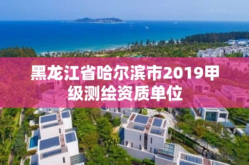 黑龙江省哈尔滨市2019甲级测绘资质单位