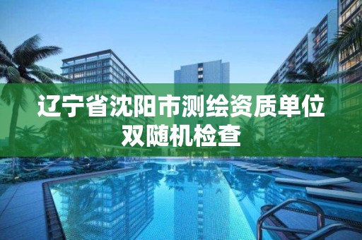 辽宁省沈阳市测绘资质单位双随机检查