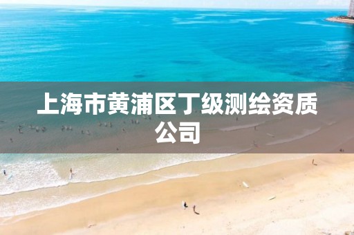 上海市黄浦区丁级测绘资质公司