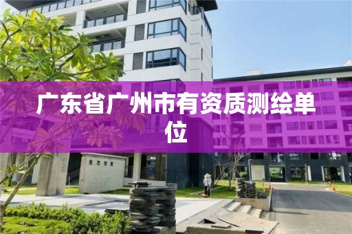 广东省广州市有资质测绘单位