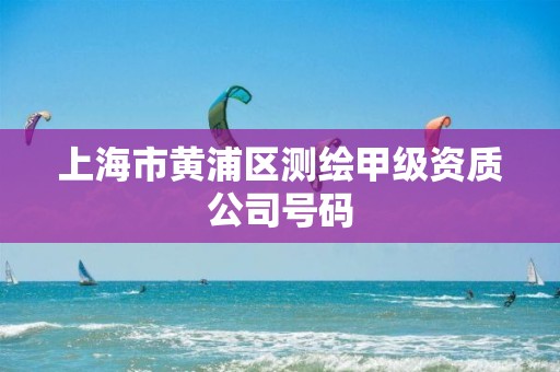 上海市黄浦区测绘甲级资质公司号码