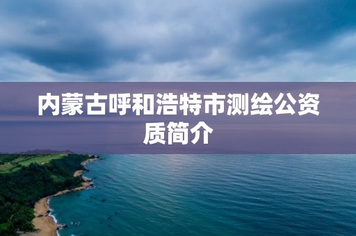 内蒙古呼和浩特市测绘公资质简介