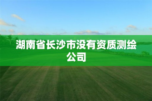 湖南省长沙市没有资质测绘公司