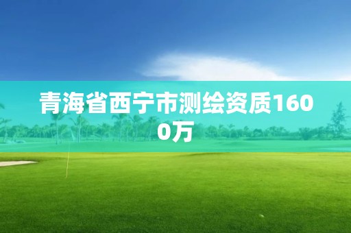 青海省西宁市测绘资质1600万