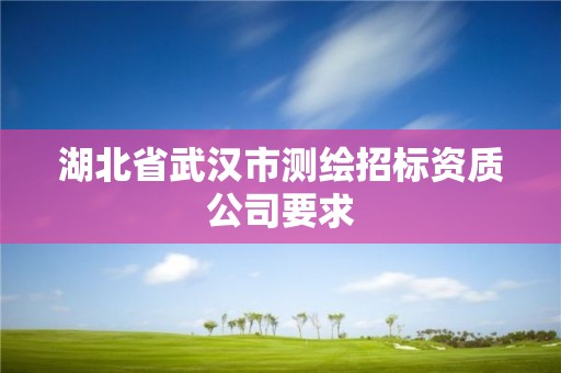 湖北省武汉市测绘招标资质公司要求