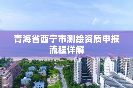 青海省西宁市测绘资质申报流程详解