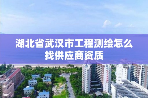 湖北省武汉市工程测绘怎么找供应商资质