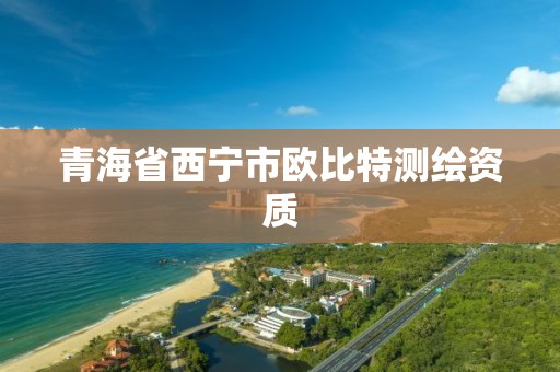 青海省西宁市欧比特测绘资质