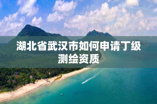 湖北省武汉市如何申请丁级测绘资质