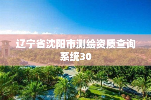 辽宁省沈阳市测绘资质查询系统30