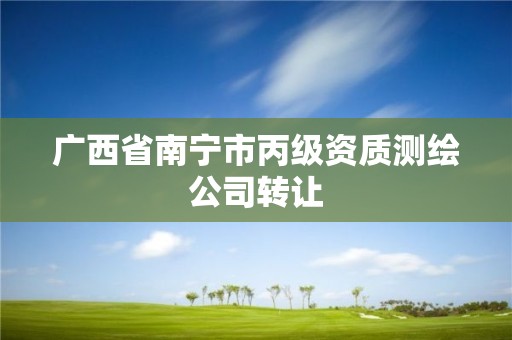 广西省南宁市丙级资质测绘公司转让