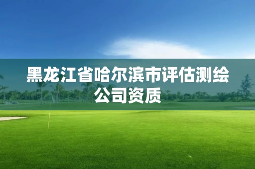 黑龙江省哈尔滨市评估测绘公司资质