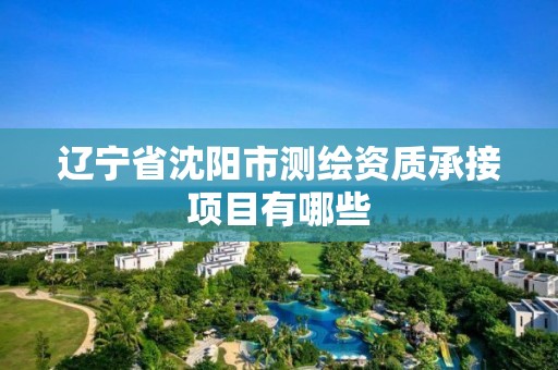 辽宁省沈阳市测绘资质承接项目有哪些