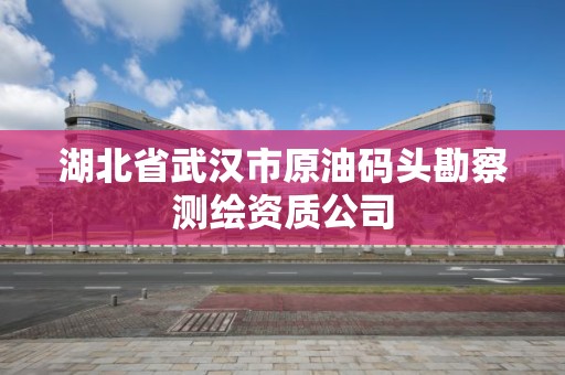 湖北省武汉市原油码头勘察测绘资质公司