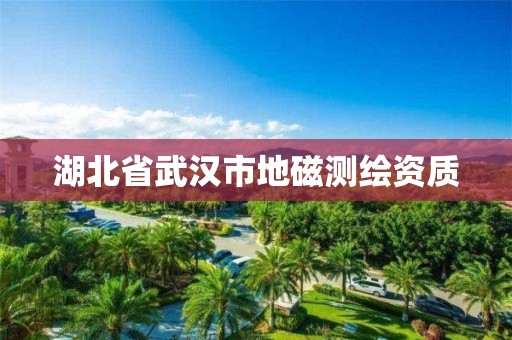 湖北省武汉市地磁测绘资质