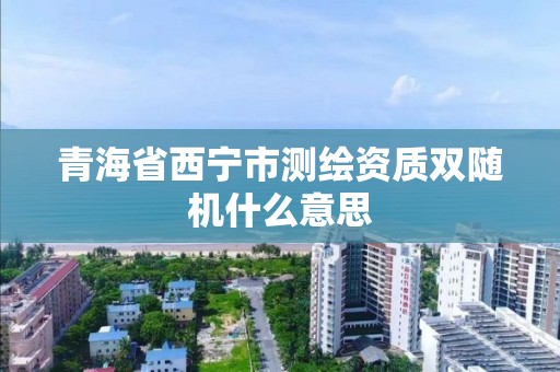 青海省西宁市测绘资质双随机什么意思