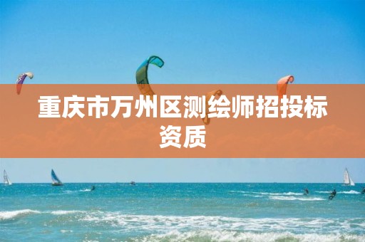 重庆市万州区测绘师招投标资质