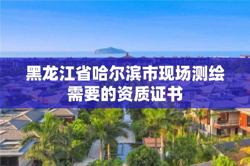 黑龙江省哈尔滨市现场测绘需要的资质证书